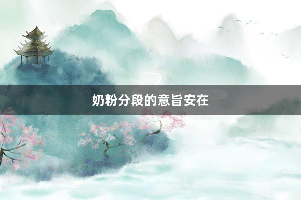 奶粉分段的意旨安在
